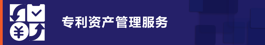 專利資產管理服務